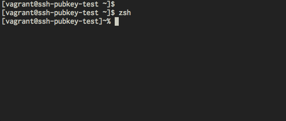 vim sample